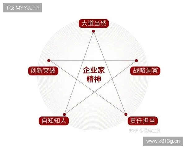 企业家精神与创新驱动：打造未来商业格局的关键力量